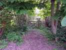 Entrance to the paddock from a lovely field you can walk in.