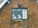 Three doggie faces at the window in the village! yes they’re real!!