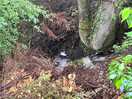 Waterfall by the entrance