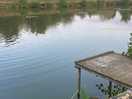 Lovely spot to fish