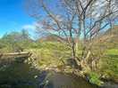 Footbridge over the stream