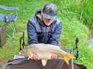 Carp