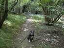 Early morning walk