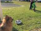 Happily on his bike