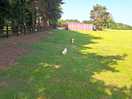 Loads of space by nature walk