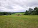 Campsite view