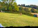 View across site