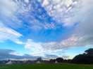 Orchard view