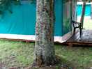 Pods advised in storm season.