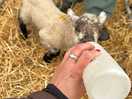 Feeding time