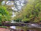 Tranquillity