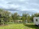 Lots of greenery