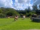 Horse riding