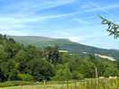 View from the site