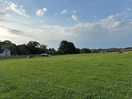 Peaceful site. lots of space