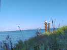 Aussicht
