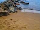 Nearby beach