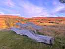 The bench with a view