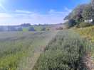 View from around the campsite