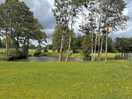 Local walk