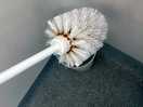 Mucky toilet brush
