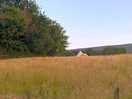 View towards tent from field