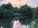 View over lake