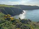 Pembrokeshire coast