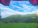 View from the tent