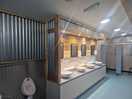 Clean and tidy loos/shower block