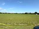 Playing field