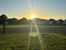 Sunset over the site