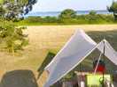 Morning view from the roof tent at badger's sett site.