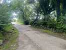 The lane