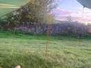 View from the crib