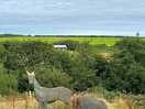 View. from the farmhouse