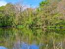 The river