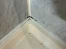 Mould
