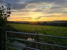Sunrise down the lane