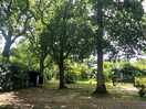 Campsite