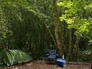 Second pitch in the peaceful wood
