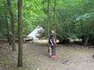Tent in forest