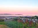 Evening sunset view