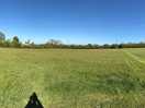 A whole field to ourselves.