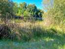 River walk by campsite