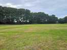 Field