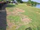 Worn out grass & the grounds were unkept.