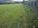 Have a stroll