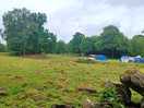 Field camping