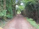 Walk up the lane